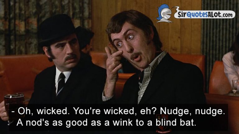 180+ Hysterical Monty Python Quotes - Sir QuotesALot